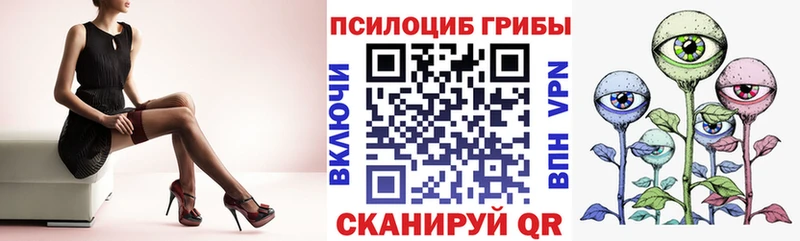 наркота  Снежногорск  гидра как войти  Галлюциногенные грибы Psilocybine cubensis 